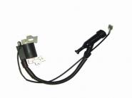 TATA 004 IGNITION COIL WITH CAP
