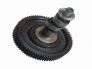 TATA 024 BALANCED SHAFT WITH GEAR WHEEL