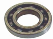 TATA 035 BEARING(6205)